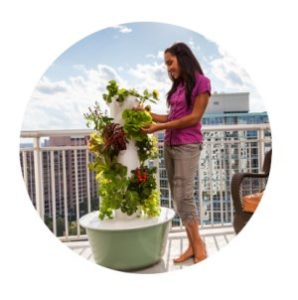 Tower Garden